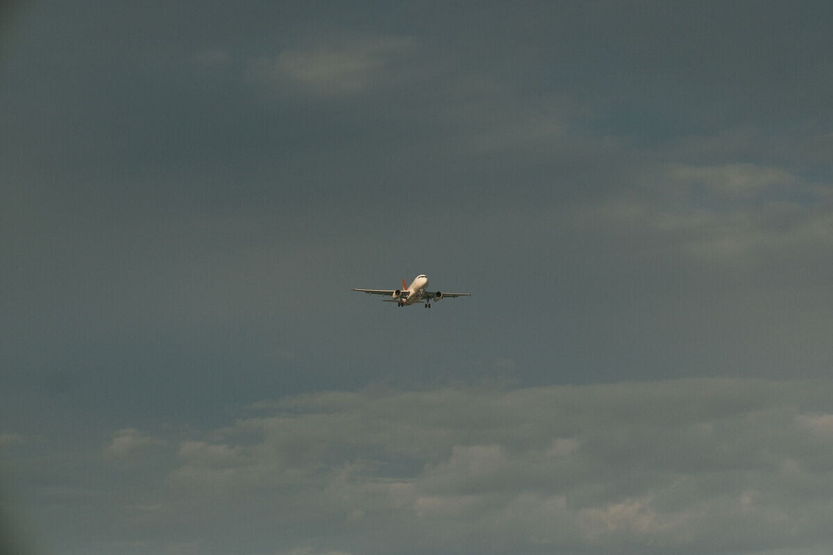 DSCF1338