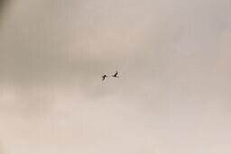 DSCF1090