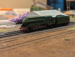 photo