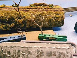 IMG 20241207 210558