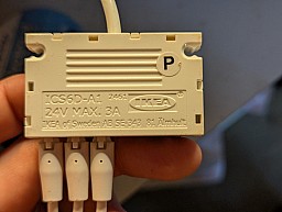PXL 20250310 091357783