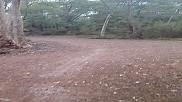 Recent(Unsorted)